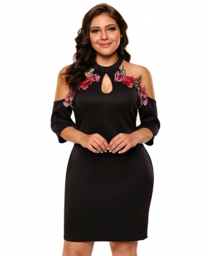 FDA Registration Renew Food Canning Establishments 